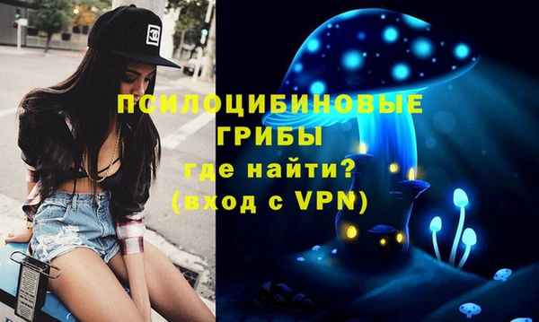 спиды Абинск