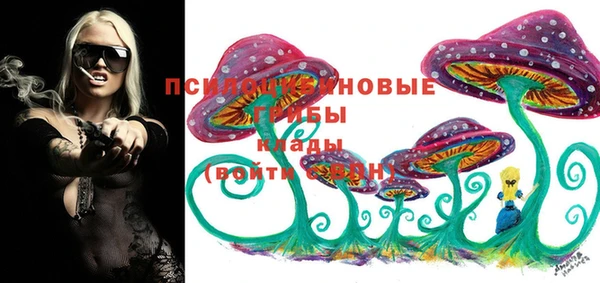 стаф Алексеевка