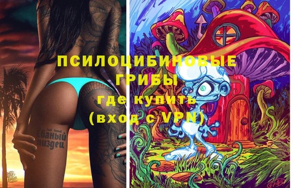 героин Алексин