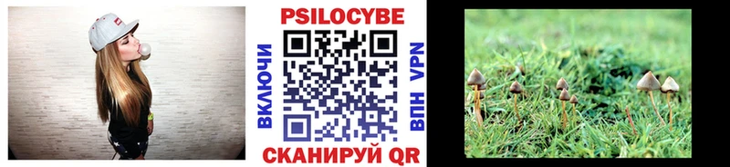 Псилоцибиновые грибы Psilocybe  Приозерск 